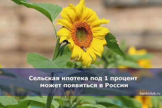 Сельская ипотека под 1 процент может появиться в России