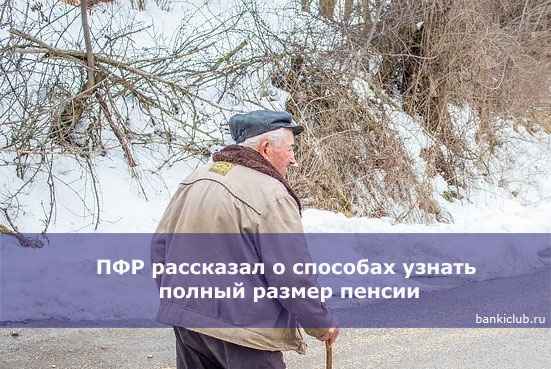 ПФР рассказал о способах узнать полный размер пенсии