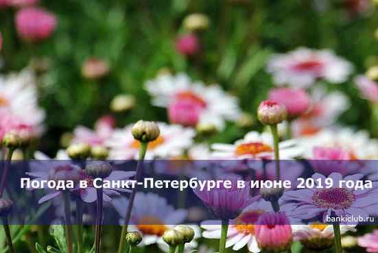Погода в Санкт-Петербурге в июне 2020 года