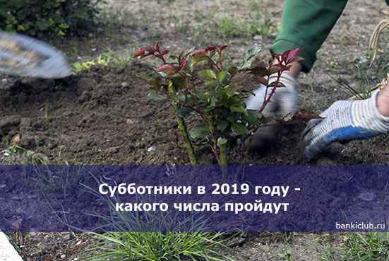 Субботники в 2020 году - какого числа пройдут