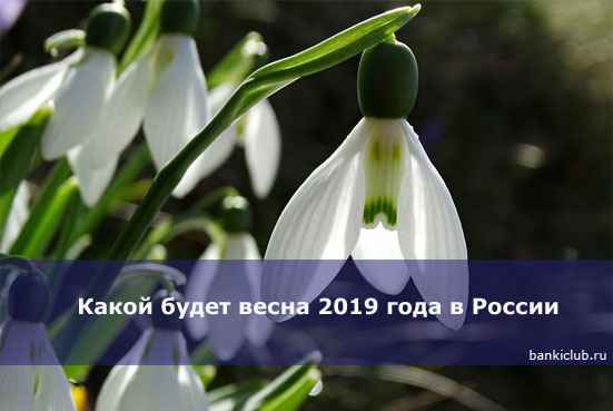 Какой будет весна 2020 года в России