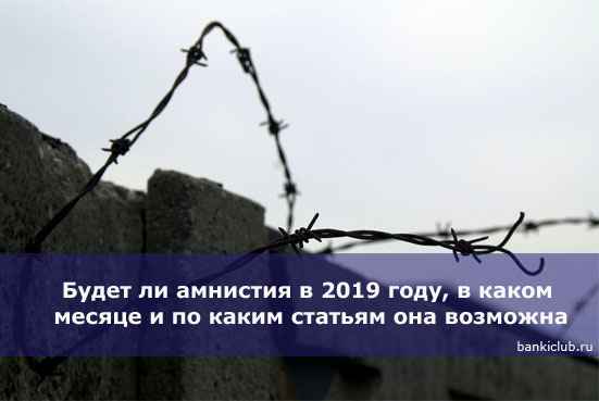 Будет ли амнистия в 2020 году, в каком месяце и по каким статьям она возможна