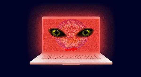 Мошенники представляются налоговиками: как распознать