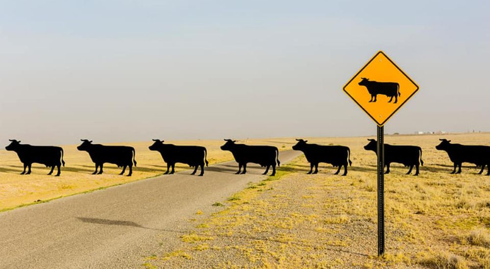 Ошибки и риски при принятии управленческих решений